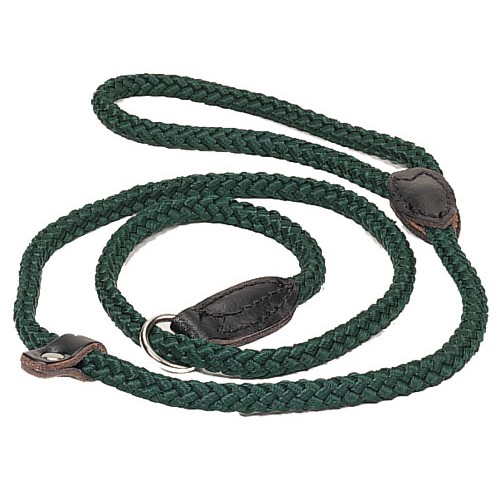 Dog Leads & Accessories