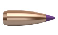 Nosler Bullets Ballistic Tip Varmint 6mm 55gr x100