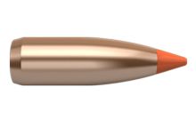 Nosler Bullets Ballistic Tip Varmint 22 cal 50gr x100
