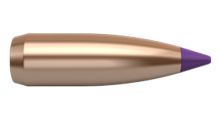 Nosler Bullets Ballistic Tip Varmint 6mm 70gr x100