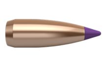 Nosler Bullets Ballistic Tip Varmint 6mm  55gr x250 