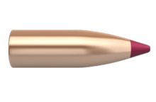 Nosler Bullets  Ballistic Tip Lead Free 20 (204) cal 32gr x100