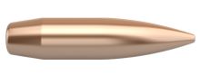 Nosler Bullets Custom Competition 30 cal 190gr HPBT x100                                  