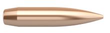 Nosler Bullets Custom Competition 338 cal 300gr HPBT x100