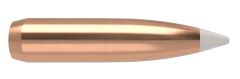 Nosler Bullets 270 Caliber 150gr AccuBond x50
